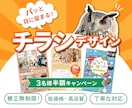 先着3名半額！集客につながるチラシ制作します 原稿未整理でもOK！伝えたいことを整理して形にします。 イメージ1