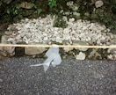 愚痴やお悩みなーんでもお聴き致します ゆっくりやり取りしたいあなたへ イメージ3