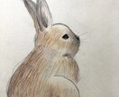 ペット等動物のデッサン、イラストお描きします 大切な家族の思い出を絵に残しませんか？温かい絵お届けします。 イメージ5