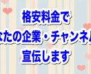 YouTuber動画の冒頭に広告を載せます あなたの動画を代わりに宣伝します イメージ2