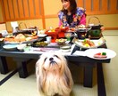 愛犬と優雅な旅ができるよう一緒にプランを考えます もうチープな愛犬旅何てこりごり。愛犬と優雅な旅を望む方限定！ イメージ2