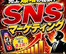 SNS戦略の立案・施策のご提案を行います 予算内でSNS戦略の立案・施策のご依頼をしたいお客様へ！ イメージ1