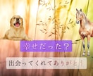 ずっと大切な家族　ペットロスの悲しみ、お聴きします 可愛いしぐさ、純粋な魂、忘れられない感触、愛おしいよね イメージ5