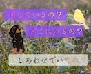 ずっと大切な家族　ペットロスの悲しみ、お聴きします 可愛いしぐさ、純粋な魂、忘れられない感触、愛おしいよね イメージ2
