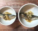 猫ちゃんのお食事に関するお悩み相談にのります 食の悩みを解決して飼い主さんも猫ちゃんもしあわせに！ イメージ4