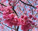 ゆるりと雑談|短くても大丈夫!お話伺います ☘️ゆるりと気軽にお話しませんか☘️ イメージ5
