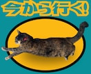 あなたのペットの写真でLINEスタンプ作ります 送っていただいた日常の写真をもとに12個制作！ イメージ4
