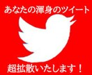 2RT超拡散！Twitter30RTまで拡散します あなたのツイートを拡散、ブログやYouTube動画の宣伝も！ イメージ1