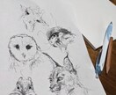 独特な絵を描きます 何でも相談受け付けます。お気軽にどうぞ！ イメージ2
