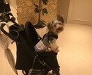日中翻訳承ります 日中夫婦が翻訳いたします。お気軽にご相談ください。 イメージ1