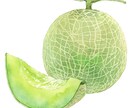 商用◎水彩で野菜・フルーツのイラストを描きます 構図から提案も可。カラーラフ修正無制限、ヒアリングが得意です イメージ7