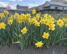 イライラ・ムカムカ・心のモヤモヤお聞きします 気の済むまで吐き出してね。側にいるから イメージ4
