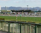 今がチャンス園田競馬の攻略法教えます 砂の入れ替えを行い大幅に傾向に変化あり。 イメージ1