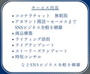 安心価格でプロからSNS集客を学べます 気軽に始めるSNS集客！手厚い月額プラン イメージ2