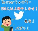 Twitterフォロワー200人増やします 日本人のアクティブユーザーです！！ イメージ1