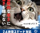 目を引く！目立つバナーを丁寧に制作します 知識が無くても大丈夫！理想のバナーを丁寧に制作致します！ イメージ5