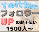 Twitter　フォロワー1500人～増やします ゆっくりOK★アカウント振り分けも可能♪ イメージ1