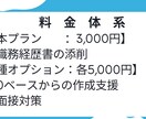現役人事課長が全力で職務経歴書作成を支援します 職務経歴書の作成でお悩みの方一緒にゴール目指しましょう イメージ9