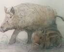 ペット・動物を透明水彩で描きます 透明水彩絵の具で特別な一枚をお描きします。 イメージ5