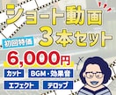 初回限定 3本のSNS投稿用ショート動画を作ります ショート動画の【お得なお試しパック】 イメージ1