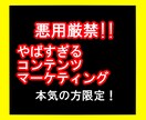 悪用厳禁！やばいコンテンツマーケティング教えます 商品を作り、売るまでの極秘ノウハウを徹底解説！！ イメージ1