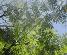 お悩み何でもお聞きします クスッと笑える毎日を貴方にとどける イメージ1
