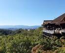 京都の四季の写真を提供します 京都の癒される四季折々の写真を！ イメージ7