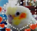 １日やった勉強を報告していただきます 。目標が達成できるよう応援します(^^♪ イメージ1