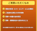 交通事故で不安なあなたへ元警察官が1往復で応えます 【1往復】人身・物損、被害側も加害側も。警察の手続を整理 イメージ10