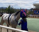 貴重」現役競走馬乗りの私が競馬予想教えます 競馬業界で働いてる人にしか入らない重要な情報あります。 イメージ2