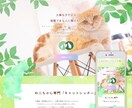 トップセールス×デザイナーがWEBサイト制作します 営業×デザイナー視点でトータルサポートを行います！ イメージ9