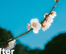 SNS映えする写真に仕上げます 一枚一枚丁寧にレタッチし、写真の魅力を最大限引き出します！ イメージ7