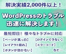 最短即日！WordPressのトラブルを解消します 急なトラブルでお困りの方へ、豊富な経験でスピード解決します！ イメージ1