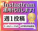 週1回投稿！30日間インスタ運用代行します 追加料金なしで動画作成◎効果的に拡散させます！ イメージ1