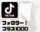 Tiktokのフォロワー1000人増やします これで貴方も明日からTiktokインフルエンサーの仲間入り！ イメージ1