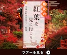高品質★バナーWEB画像制作します 女性ならではの高品質なデザインを届けます♪ イメージ4