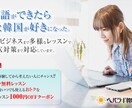 ネイティブ特化のオンライン韓国語レッスンします TOPIK6級保持在日コリアンママが活きた韓国語を教えます！ イメージ6