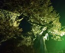 どんなお話でも真剣に聞かせて頂きます 特に話したいことないけど、誰かと会話したいでもかまいません。 イメージ5