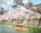 京都の四季の写真を提供します 京都の癒される四季折々の写真を！ イメージ6