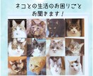 仕事、会社、人間関係&…のお悩み、愚痴聞きます 短時間でも大丈夫です。雑談から重めのお話まで！ イメージ8