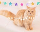 あなたのお話聞きます 話し相手を求めている方、お話聞きます！ イメージ1