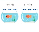 ご覧いただきありがとうございます 丁寧・親切なやり取りを心がけています。 イメージ8