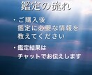 苦しい今の現状から良き未来へと導きます どうしたらいいのか分からない気持ち取り除きます イメージ3