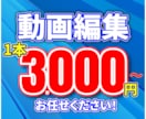 丁寧な編集で理想の動画を提供します 迅速な納期対応と高品質な映像制作を心掛けます イメージ1