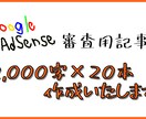 Googleアドセンス審査用記事を作成いたします Googleに好かれる記事が欲しいあなたへ イメージ1