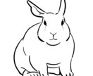 安価で動物のイラスト描きます ※アイコン使用以外の用途でもでもご利用いただけます。 イメージ1