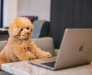 IT業界/第二新卒の転職相談承ります 20代で4回の転職を行い工事会社から某大手SIerへ イメージ1