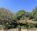 とても綺麗な風景の写真をお届けしますます 綺麗！可愛い！すてき！行った気になる！ イメージ4