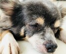 簡単で反則的な休憩術を教えます 疲れや眠気を忘れ、活発に行動したいあなたの為のズルい休憩法 イメージ1
