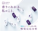 香り×本能で体質チェック&セルフケアを提案します 心身を可視化!必要な選択肢(食事・運動・アロマ)を導き出す イメージ1
